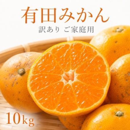 ふるさと納税 和歌山有田みかん10kg[訳ありご家庭用]2S〜2Lサイズ混合[1748596] 和歌山県日高町