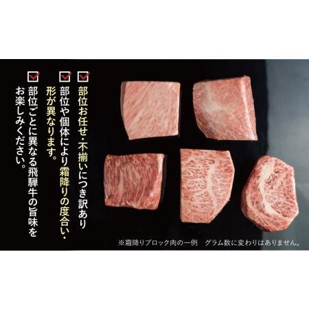 ふるさと納税 訳あり 飛騨牛ブロック [塊] 計600g 霜降り肉 赤身肉 ブロック肉 300g×2 食べ比べ 部位お任せ 不揃い BBQ 焼肉 焼き肉 ロース.. 岐阜県白川村 300g 真空パック