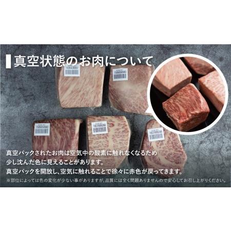 ふるさと納税 訳あり 飛騨牛ブロック [塊] 計600g 霜降り肉 赤身肉 ブロック肉 300g×2 食べ比べ 部位お任せ 不揃い BBQ 焼肉 焼き肉 ロース.. 岐阜県白川村 300g 真空パック