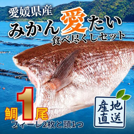 ふるさと納税 みかんの風味が食欲をそそる愛媛県の公認ブランド「みかん愛たい」食べ尽くしセット 三枚おろし2枚 頭 鯛 タイ 魚 刺身 煮つけ 愛.. 愛媛県今治市