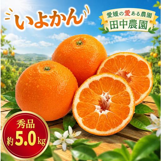 ふるさと納税 [2027年1月上旬から順次発送]伊予柑 いよかん 約5kg 秀品 柑橘類 先行予約 贈答用 ギフト フルーツ 柑橘類 先行予約 果物 フル.. 愛媛県松山市