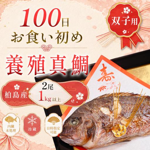 ふるさと納税 お食い初め 真鯛 2尾 双子 1kg以上 尾頭付き 鯛 のみ 2匹 真空パック 祝い鯛 百日祝い 100日祝い 鯛の塩焼き お食初め 自宅 お食い.. 高知県大月町