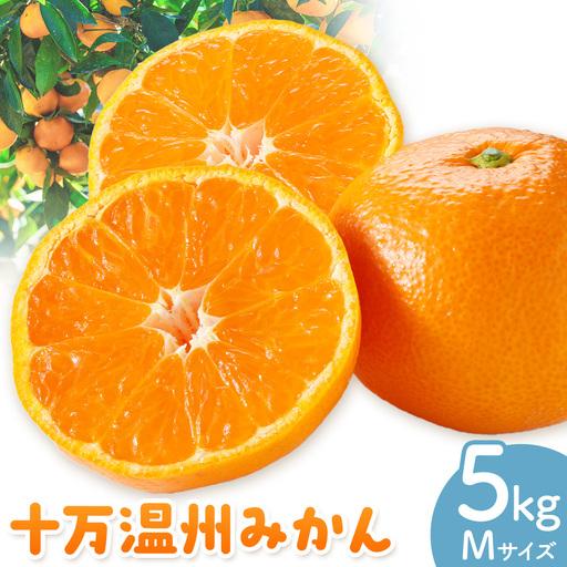 ふるさと納税 十万温州みかん M 5kg 田野農園[12月中旬-3月中旬頃出荷]鹿児島県 さつま町 鹿児島県さつま町