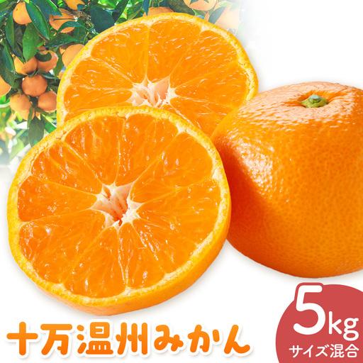 ふるさと納税 十万温州みかん L/LL混合 5kg 田野農園[12月中旬-3月中旬頃出荷]鹿児島県 さつま町 鹿児島県さつま町