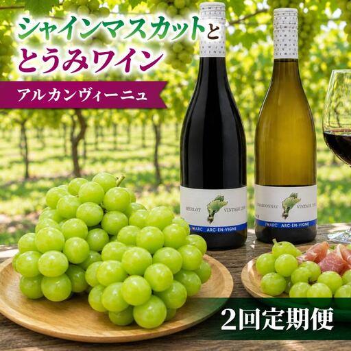 ふるさと納税 [2回定期便]シャインマスカット&とうみワインの定期便(シャインマスカット2房/定番ワイン2本セット)|[JA信州うえだ/アル.. 長野県東御市