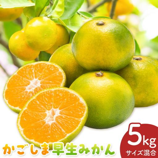 ふるさと納税 かごしま早生みかん L LL サイズ混合 5kg 田野農園[10月中旬-1月中旬頃出荷]鹿児島県 さつま町 鹿児島県さつま町