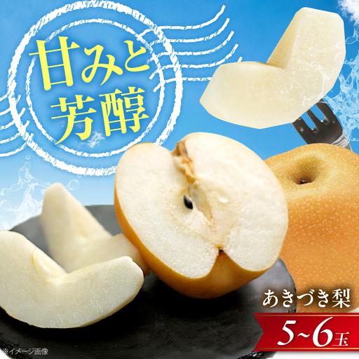ふるさと納税 [先行予約]あきづき梨 5-6玉入 BKAD115 梨 愛媛県内子町