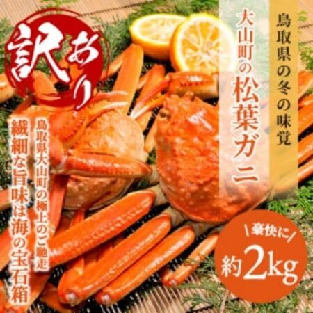 ふるさと納税 [2027年1月以降順次発送][冷凍]訳あり松葉ガニ約2kg詰め合わせ OM-13-2[配送不可地域:離島][1745597] 鳥取県智頭町