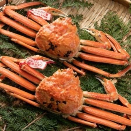 ふるさと納税 [11月中旬以降順次発送]ブランドタグ付ボイル松葉ガニ(400〜500gを2枚) OM-23[配送不可地域:離島・北海道・沖縄県・東北・信.. 鳥取県智頭町
