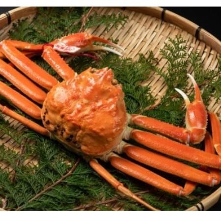 ふるさと納税 [11月中旬以降順次発送]ブランドタグ付ボイル松葉ガニ(LL 約1kg) OM-25[配送不可地域:離島・北海道・沖縄県・東北・信越、北.. 鳥取県智頭町