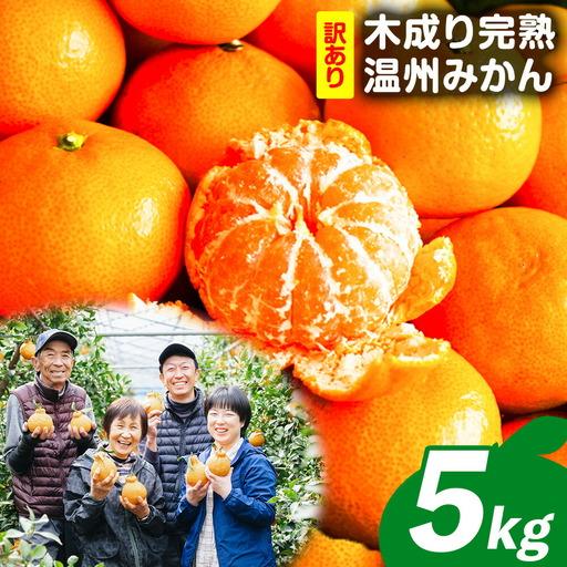 ふるさと納税 訳あり 木成り完熟温州 みかん 約 5kg ミックスサイズ 和歌山県産 和歌山県日高川町