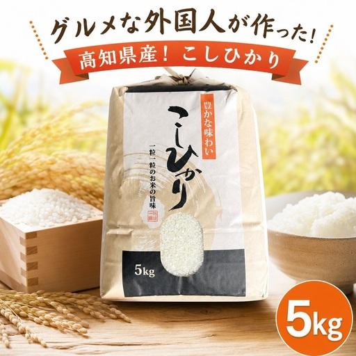 ふるさと納税 こしひかり 白米 5kg 2025年産[0941-5] 高知県黒潮町