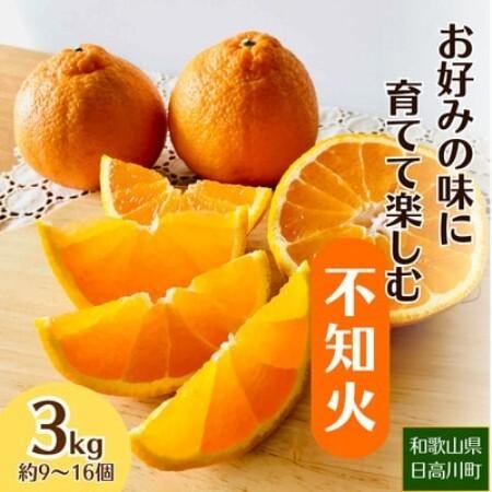 ふるさと納税 [2027年2月〜4月順次発送]お好みの味に育てて楽しむ不知火 3kg 産地直送 和歌山県産[1750294] 和歌山県日高町