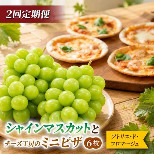 ふるさと納税 [2回定期便]シャインマスカットとチーズ工房のミニピザ(シャインマスカット2房/ミニピザ6種6枚)|[JA信州うえだ/アトリエ・.. 長野県東御市