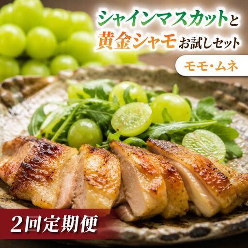 ふるさと納税 [2回定期便]とうみの名産定期便(シャインマスカット2房/信州黄金シャモ ムネ・モモセット700g)|[JA信州うえだ/とや原ファ.. 長野県東御市