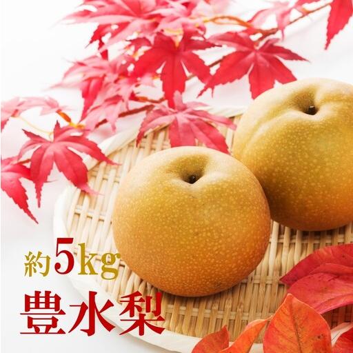 ふるさと納税 [先行予約]令和8年発送/数量限定!矢野果樹園の梨『豊水』5kg_2062R 大分県国東市