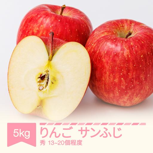 ふるさと納税 令和8年産 りんご サンふじ 秀品 約5kg (13~20個程度)  yi-risfs5000 山形県村山市 | 