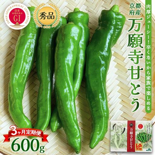 ふるさと納税 [定期便] 万願寺甘とう 秀品 600g×3回 京都府舞鶴市
