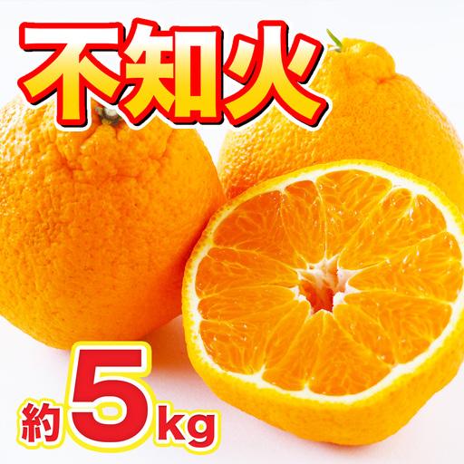 ふるさと納税 不知火 約5kg みかん ミカン 果実 果汁 果肉 柑橘類 柑橘系 国産 佐賀県産 [2027年2月上旬〜4月上旬発送予定] 佐賀県太良町
