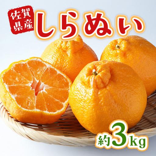 ふるさと納税 不知火 約3kg 不知火 フルーツ 果物 くだもの 柑橘 デコポン でこぽん 甘い あまい 新鮮 デザート 佐賀県 太良町 NB47 [2027年2月.. 佐賀県太良町