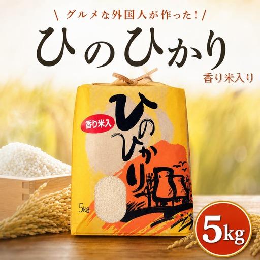 ふるさと納税 ひのひかり 白米 香米入り 5kg 2025年産[1122-4] 高知県黒潮町