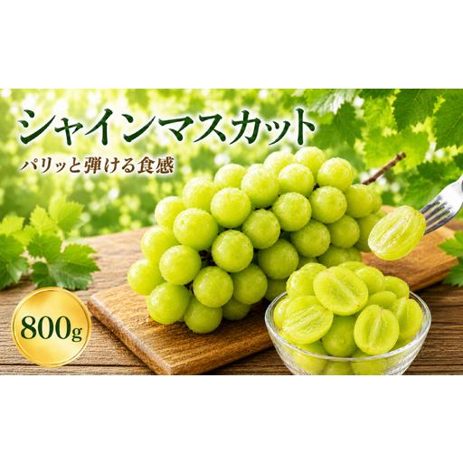 ふるさと納税 先行予約 シャインマスカット 800g 2房 [2026年8月中旬?9月下旬頃発送予定] 熊本県宇城市