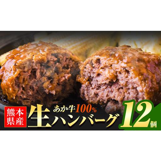 ふるさと納税 あか牛100%生ハンバーグ 12個 あか牛 熊本県南阿蘇村