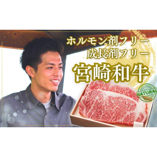 ふるさと納税 厳選 江田和牛 サーロインステーキ 600gセット(200g×3枚) 日本一のブランド牛「宮崎牛」 [希少 国産 黒毛和牛 冷凍 ギフト A.. 宮崎県高原町