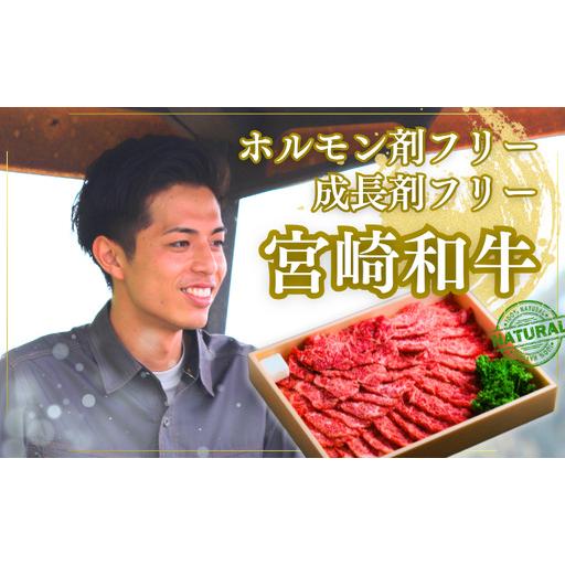 ふるさと納税 厳選 江田和牛 霜赤スライス1kgセット(ソトモモ&肩ロース) 200g×5pワンストップオンライン対応 TF0697-P00051 宮崎県高原町