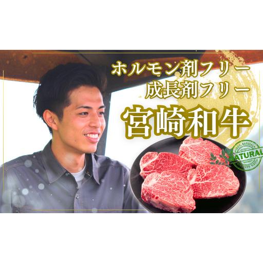 ふるさと納税 厳選 江田和牛 ヒレステーキ 450gセット(150g×3枚) 希少部位 [国産 黒毛和牛 冷凍 ギフト A5 牛肉 お肉 日本産 宮崎県 ヒレ.. 宮崎県高原町