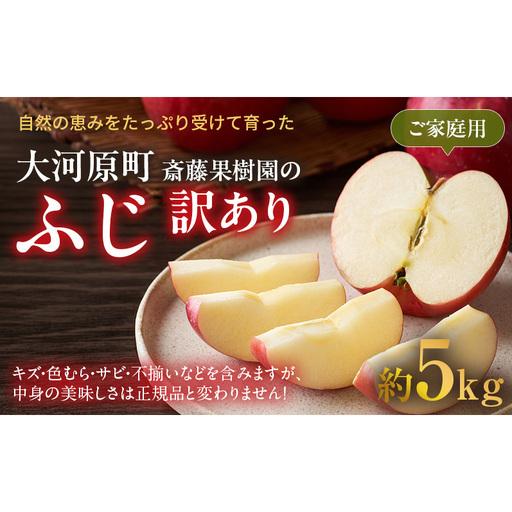 ふるさと納税 りんご ふじ 訳あり 5kg 果物 フルーツ わけあり 不揃い 規格外 ご家庭用 宮城県 大河原町 産地直送 林檎 リンゴ くだもの 先行.. 宮城県大河原町