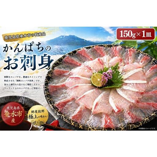 ふるさと納税 A1-7615/瞬熟かんぱち刺身 1皿(17cm皿・150g) 鹿児島県垂水市