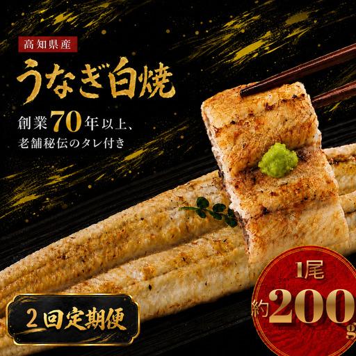 ふるさと納税 [2回 定期便] 高知県産 うなぎ 白焼 1尾 高知県南国市