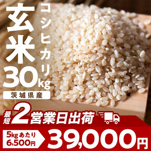 ふるさと納税 【最短2営業日出荷】 コシヒカリ 玄米 30kg 茨城県つくば