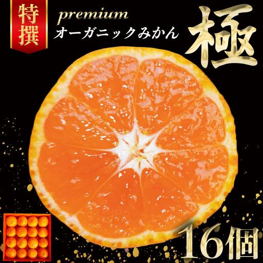 ふるさと納税 皮まで食べられる! 特選プレミアム オーガニックみかん 極 (きわみ) 約1.5kg [先行予約 11月〜1月中旬発送予定] 広島県大崎上島町
