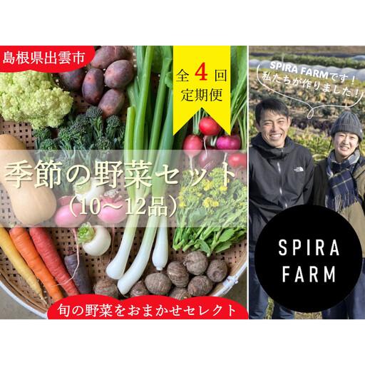 ふるさと納税 [3か月に1回・全4回定期便]季節の野菜セット10〜12品目[栽培期間中 農薬・化学肥料不使用]出雲の旬野菜を季節ごとにお届け[出.. 島根県出雲市
