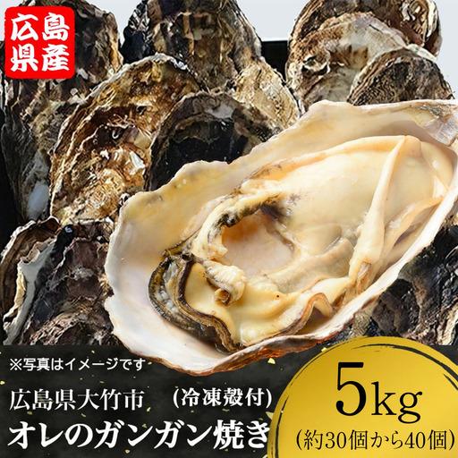 ふるさと納税 株式会社 アミスイ オレのガンガン焼き 広島県大竹市産 冷凍殻付牡蠣 5kg (約30個から40個) [2621] 広島県大竹市