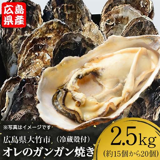 ふるさと納税 [2027年1月8日より発送!]株式会社 アミスイ オレのガンガン焼き 広島県大竹市産 冷蔵殻付牡蠣 2.5kg (約15個から20個) [2623] 広島県大竹市