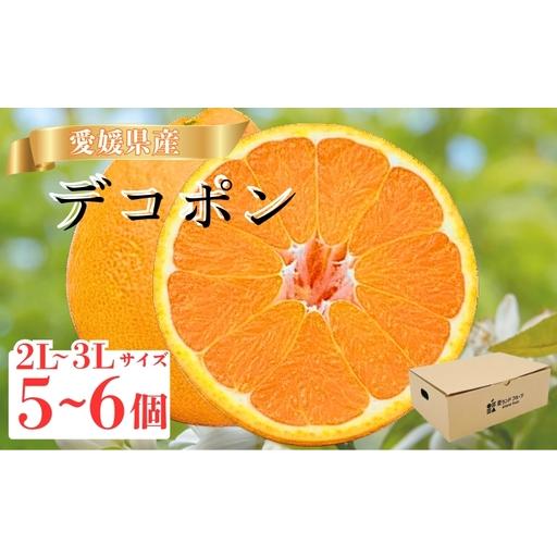 ふるさと納税 [2027年先行予約][数量限定]愛媛県産 デコポン 5〜6個 [2027年3月上旬順次発送]みかん ミカン 蜜柑 柑橘 かんきつ 柑橘類 愛.. 愛媛県伊予市