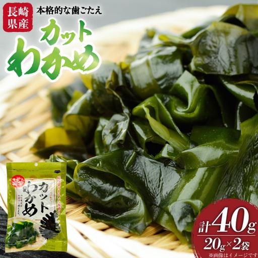 ふるさと納税 わかめ 国産 カットわかめ 20g 2袋 計40g 長崎県平戸市