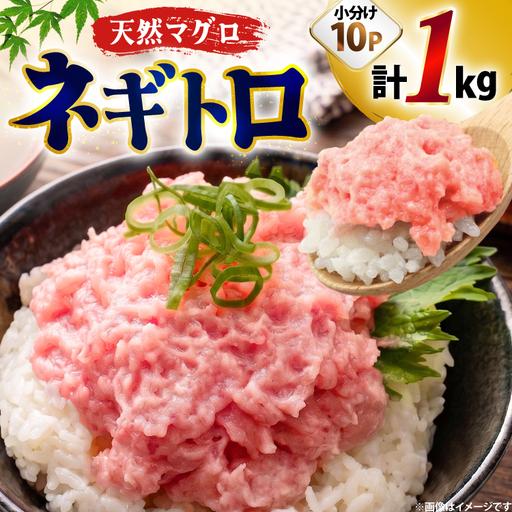 ふるさと納税 ネギトロ まぐろ 1kg 10パック セット 福岡県宇美町