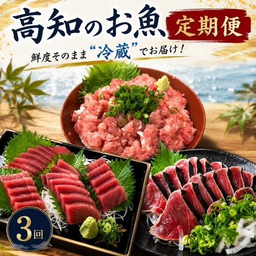 ふるさと納税 [冷蔵] 海鮮 3回定期便 高知 カツオ マグロ ネギトロ 高知県安芸市
