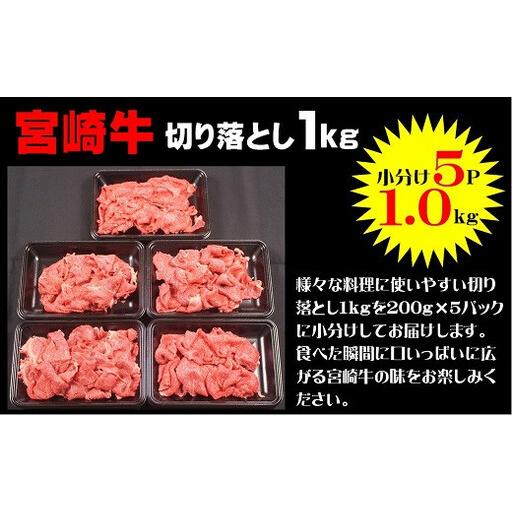 ふるさと納税 宮崎牛切り落とし 1Kg(200g×5p)_A0058-002 宮崎県綾町