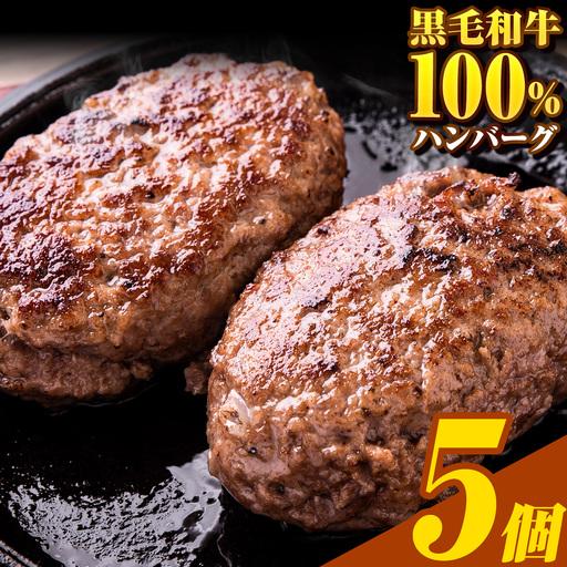 ふるさと納税 ハンバーグ 大容量 5個 黒毛和牛 100% 生ハンバーグ 熊本県産山村