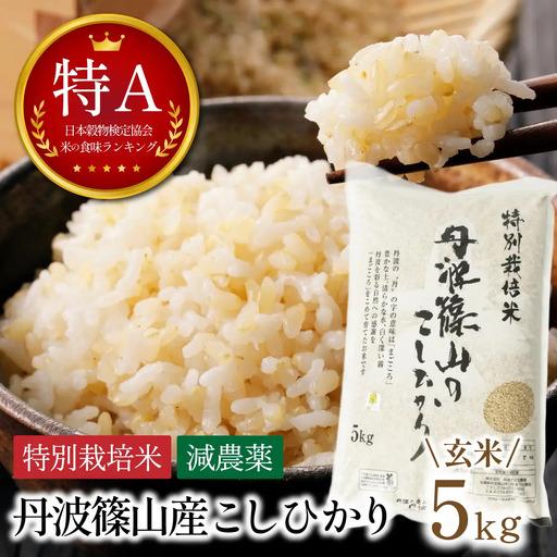ふるさと納税 新米予約[スピード出荷]減農薬 特A 玄米 丹波篠山産 特別栽培米 こしひかり 5kg 兵庫県丹波篠山市