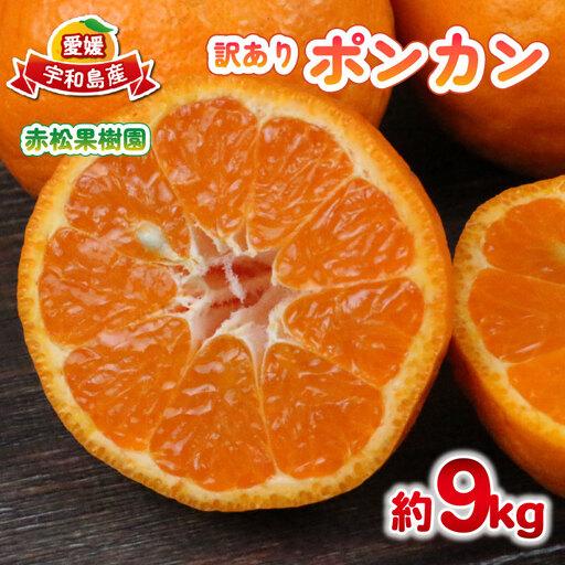 ふるさと納税 [ ポンカン ] 冬の柑橘 訳あり ポンカン 9kg 赤松果樹園 B012-208001 愛媛県宇和島市