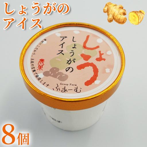 ふるさと納税 しょうがのアイス 8個 アイスクリーム [アイス] 高知県安芸市