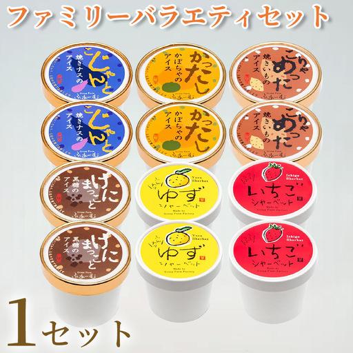 ふるさと納税 ファミリーバラエティアイス 6種 100ml×12個 アイスクリーム_BQ129 高知県安芸市
