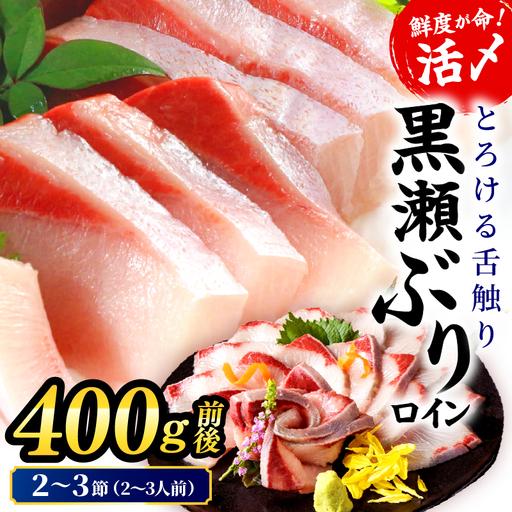 ふるさと納税 [2026年8月発送分]活じめ!黒瀬ぶりの生鮮ブリロイン2節〜3節(400g前後)_K001-008-2608 宮崎県串間市