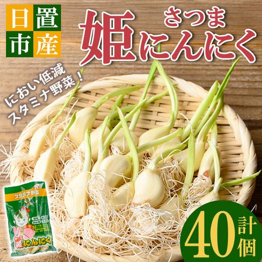 ふるさと納税 No.1374 鹿児島県産 さつま姫にんにく(20個×2袋・計40個) 国産 九州産 鹿児島 にんにく ひげにんにく ニンニク 調味料 [新.. 鹿児島県日置市